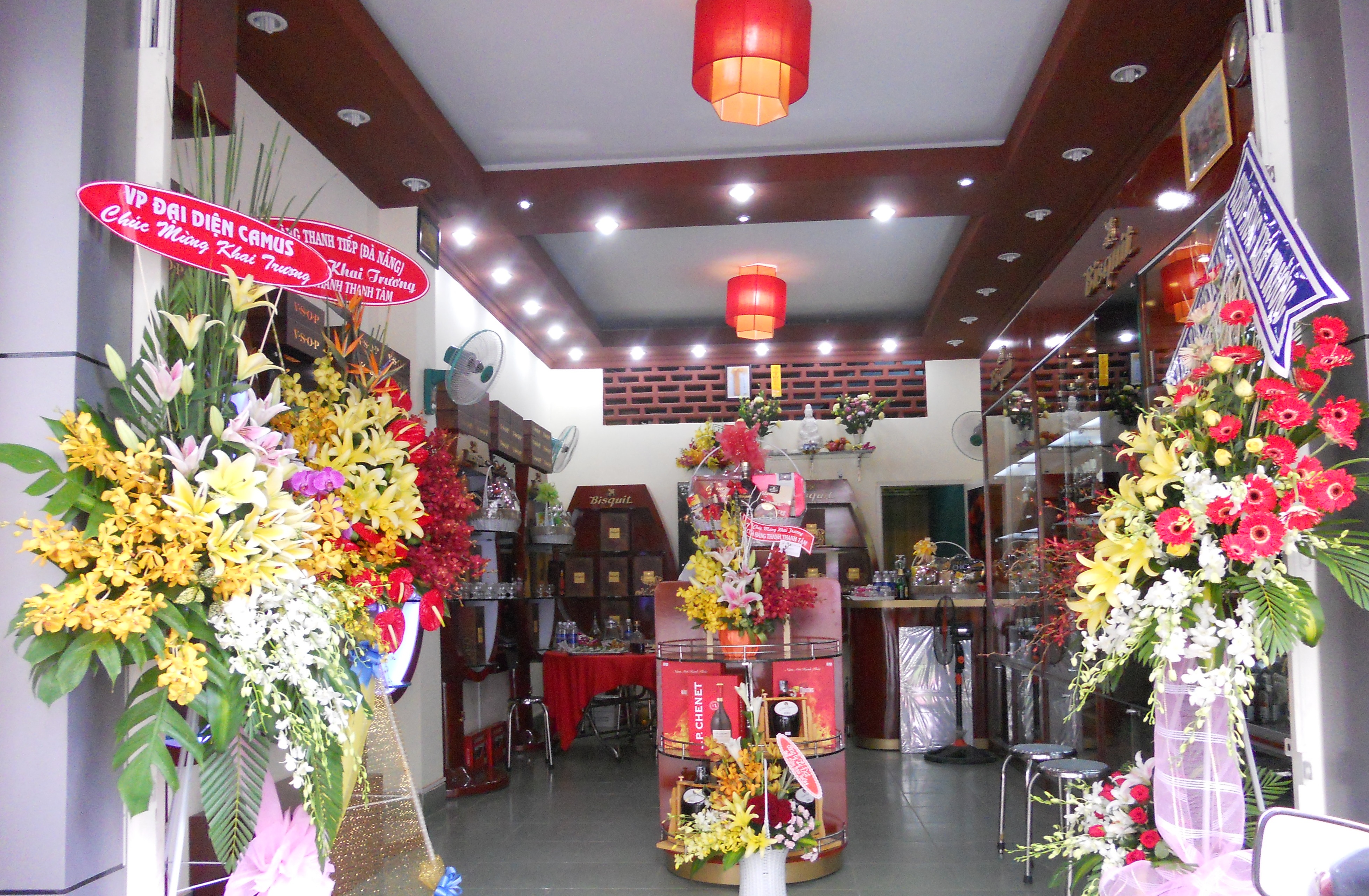 TÃ´i yÃªu buá»•i sÃ¡ng sá»›m máº·t trá»i chÆ°a nhÃ´ cao, khi nhá»¯ng Ã¡nh náº¯ng Ä‘áº§u tiÃªn chÆ°a ká»‹p soi vÃ o máº·t ngÆ°á»i.